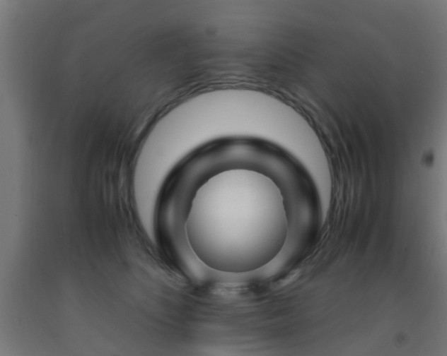 X0000093150516200709261448