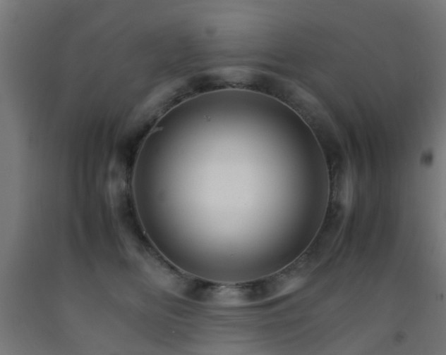 X0000093150518200709261448