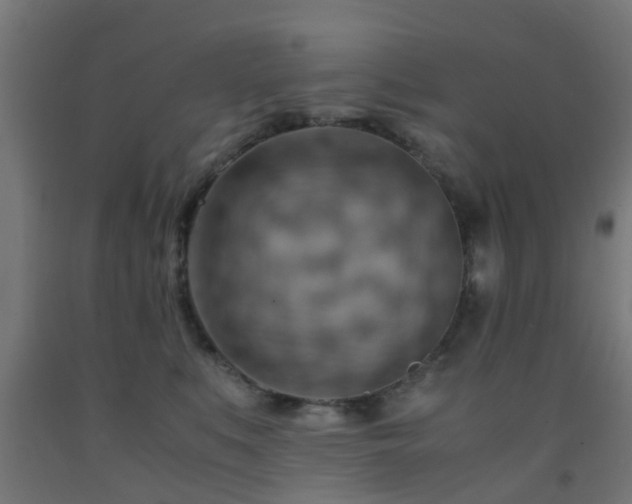 X0000093150519200709261448