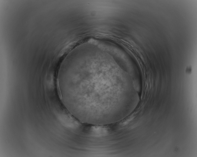X0000093150520200709261448
