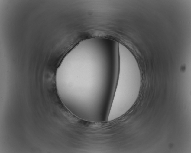 X0000093150521200709261448