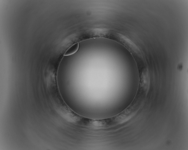 X0000093150522200709261448
