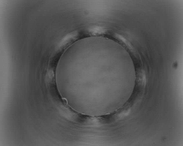 X0000093150523200709261448
