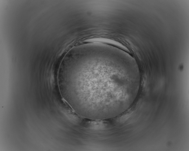 X0000093150524200709261448