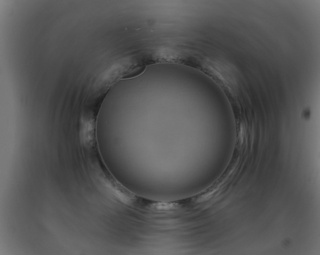 X0000093150526200709261448