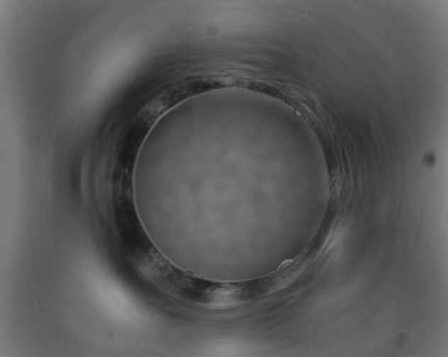 X0000093150527200709261448