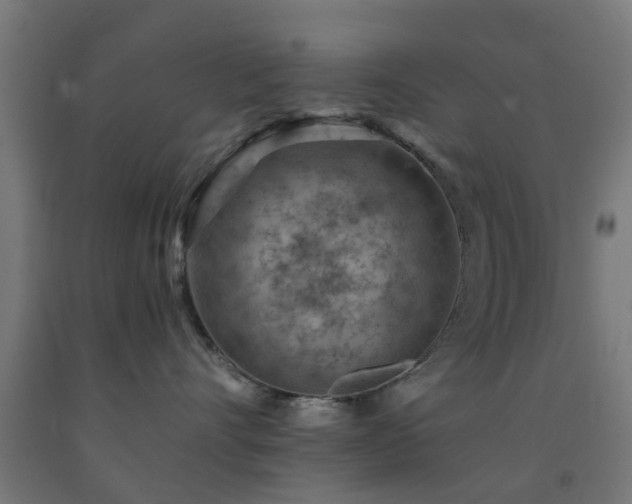 X0000093150528200709261448