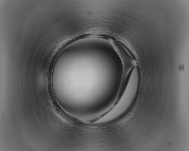 X0000093150530200709261447