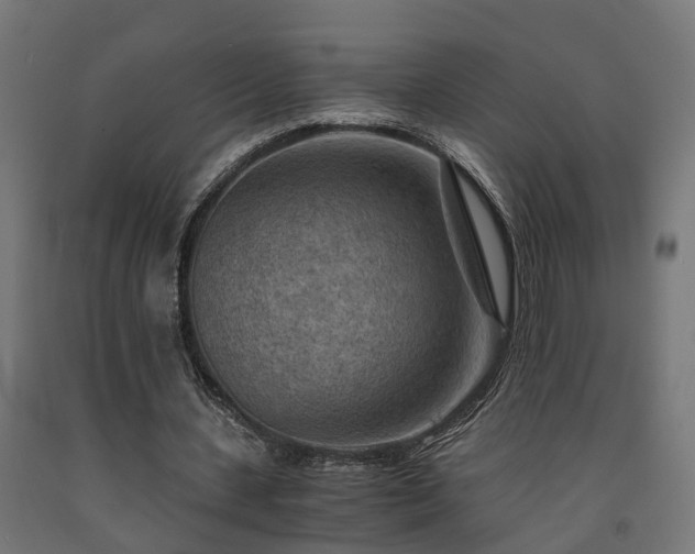 X0000093150531200709261447