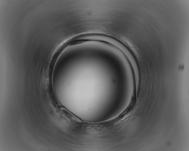 X0000093150532200709261447