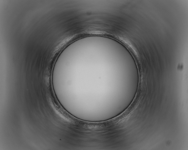 X0000093150533200709261447