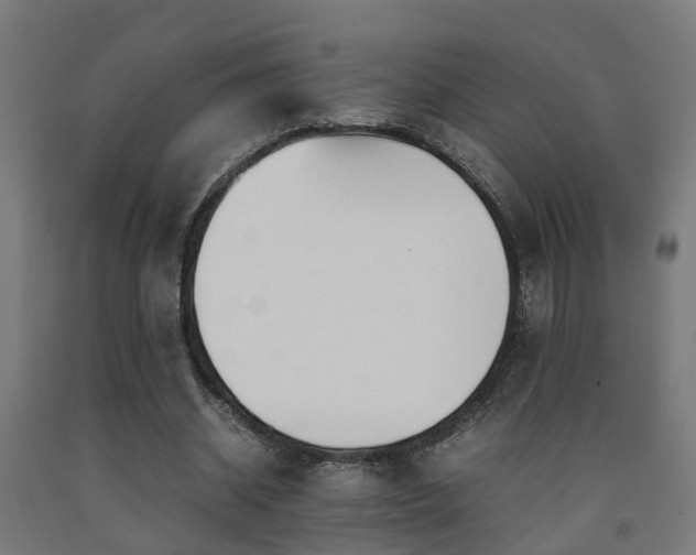 X0000093150534200709261447