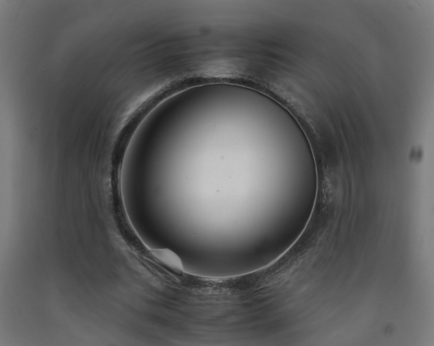 X0000093150535200709261447