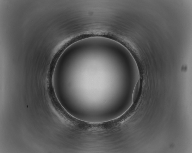 X0000093150536200709261447