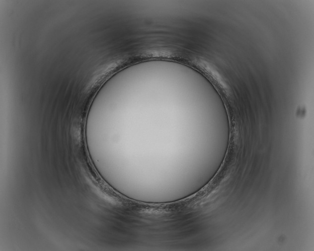 X0000093150537200709261447