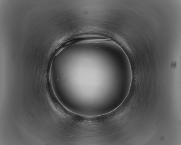 X0000093150538200709261447