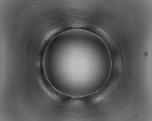 X0000093150539200709261447