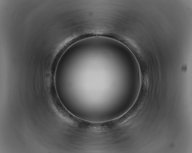 X0000093150540200709261447