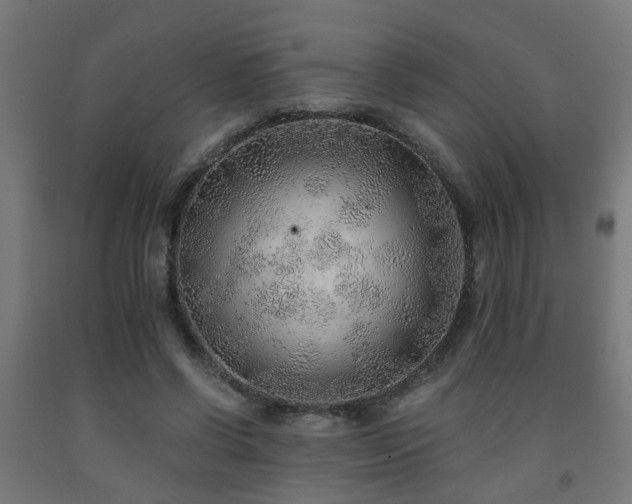 X0000093150542200709261448