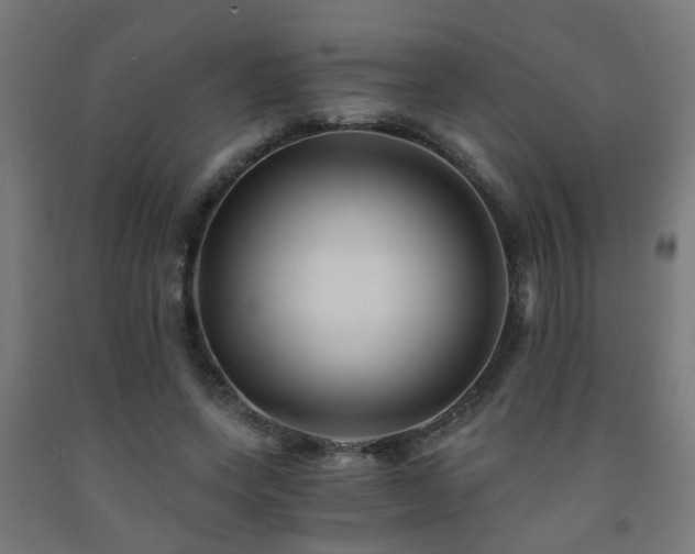 X0000093150543200709261448