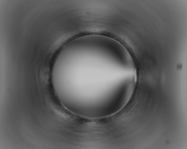 X0000093150544200709261448
