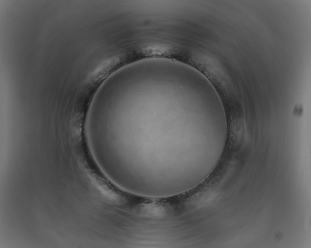 X0000093150545200709261448