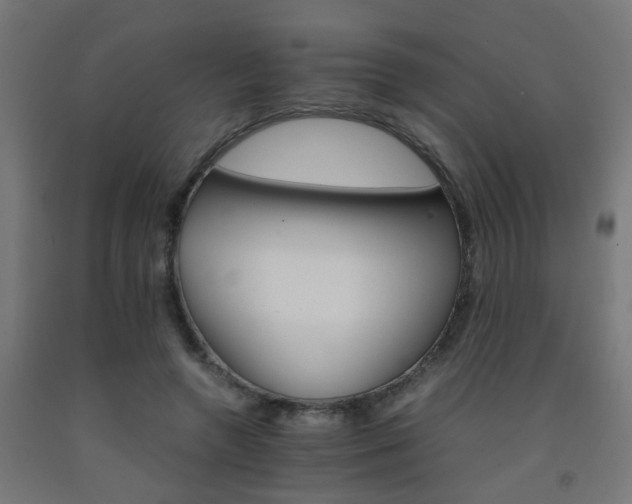 X0000093150546200709261448