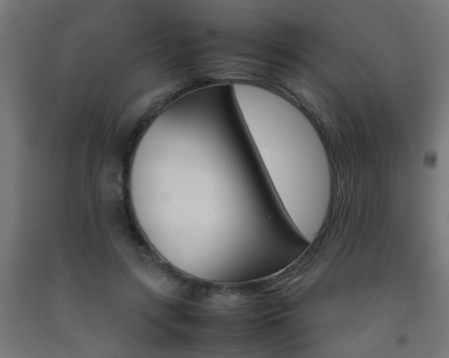 X0000093150547200709261448