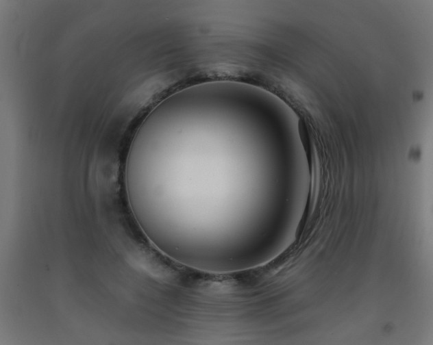 X0000093150548200709261448