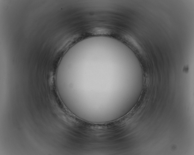 X0000093150549200709261448