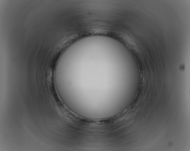X0000093150550200709261448