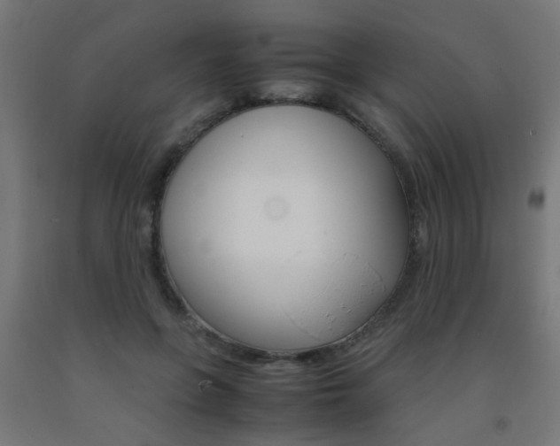X0000093150551200709261448
