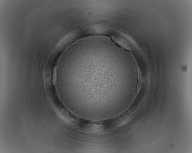 X0000093150552200709261448