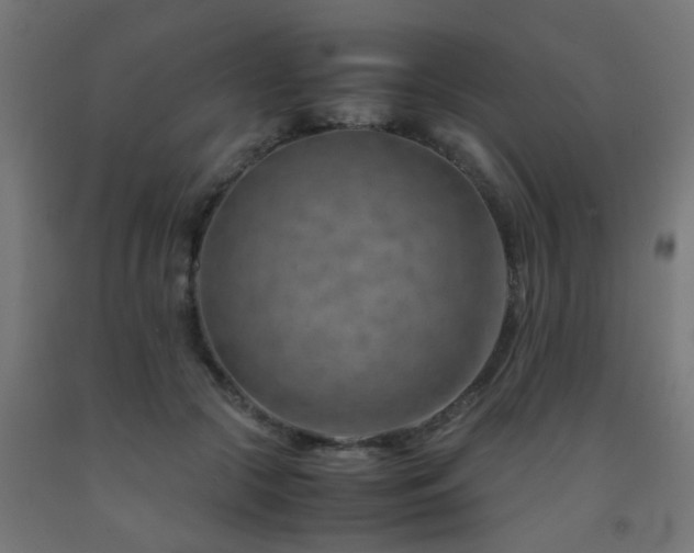 X0000093150553200709261448