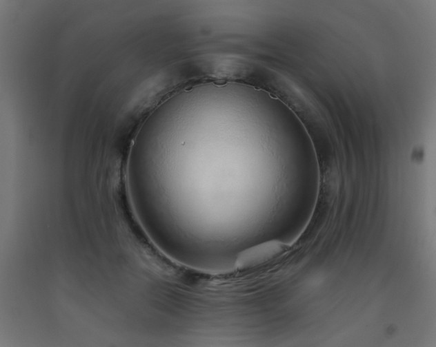 X0000093150554200709261448