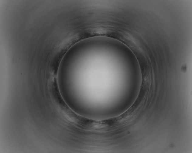 X0000093150555200709261448