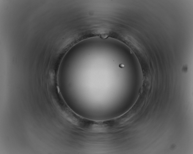X0000093150556200709261448