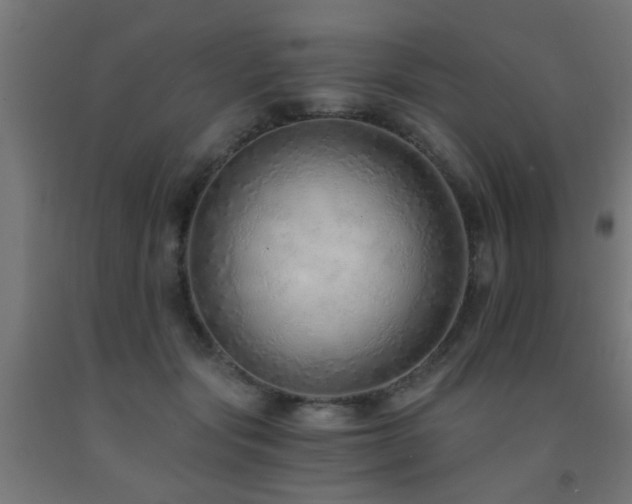 X0000093150557200709261448