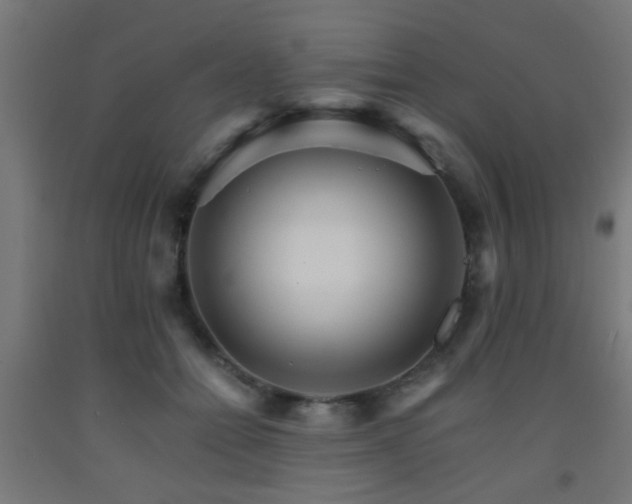 X0000093150558200709261448