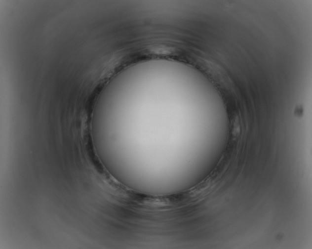 X0000093150559200709261448
