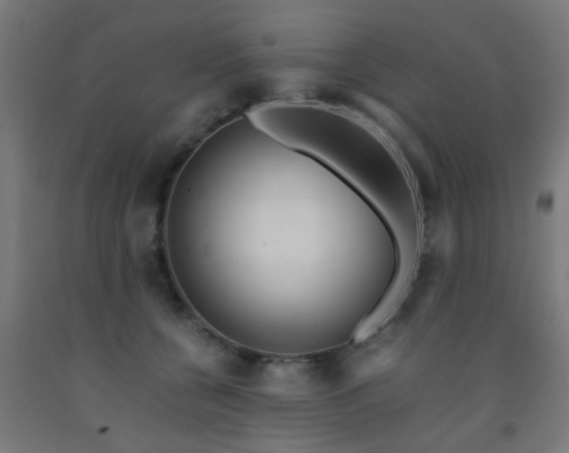 X0000093150560200709261448