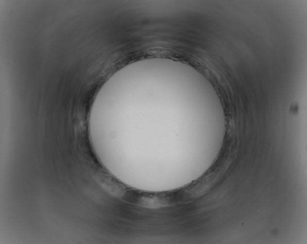 X0000093150561200709261448