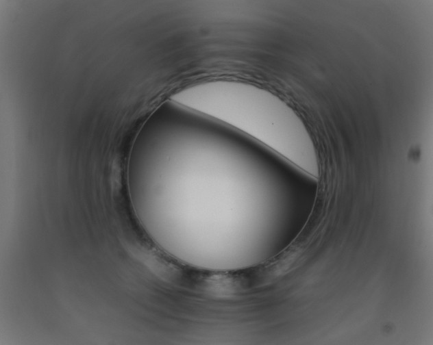 X0000093150562200709261448