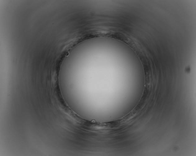 X0000093150563200709261448
