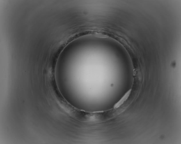 X0000093150564200709261448