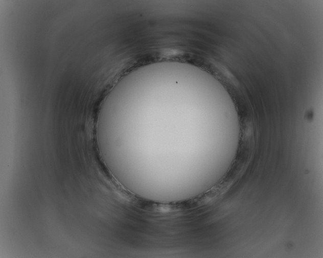 X0000093150565200709261448