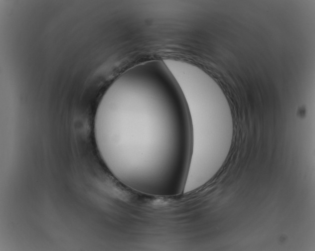 X0000093150566200709261448