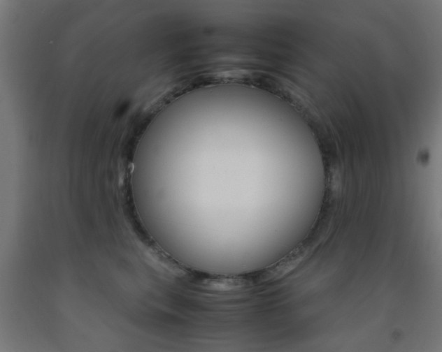 X0000093150567200709261448