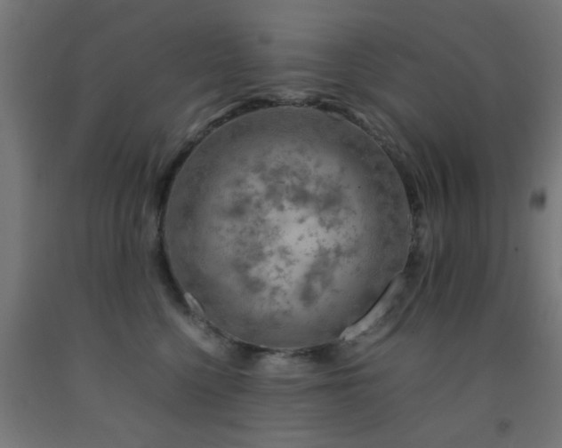 X0000093150568200709261448