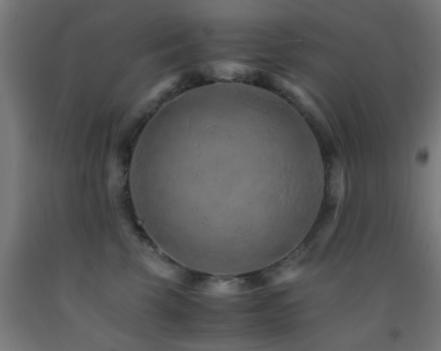 X0000093150569200709261448